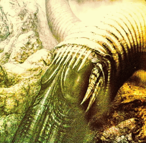 Diarrhea Pool : Alien Lover